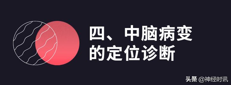 脑干解剖,脑干神经解剖