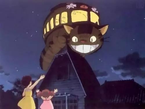 龙猫影评深度理解,龙猫的影评观后感