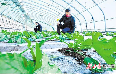 【决战决胜脱贫攻坚】书写决战脱贫攻坚的春天答卷——甘肃全力推进脱贫攻坚任务落实纪实