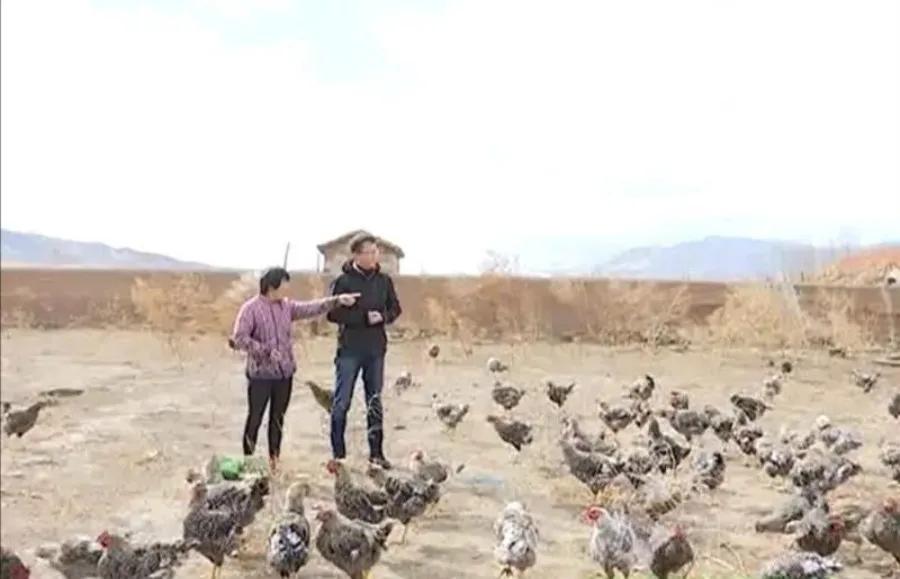 脱贫致富路上的巾帼能手——记赤峰市巴林右旗幸福之路苏木胜利村刘淑凤事迹