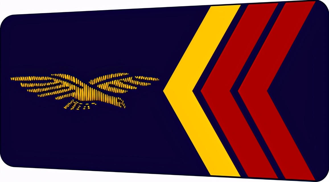 法国将军军衔等级,法国上校是什么军衔