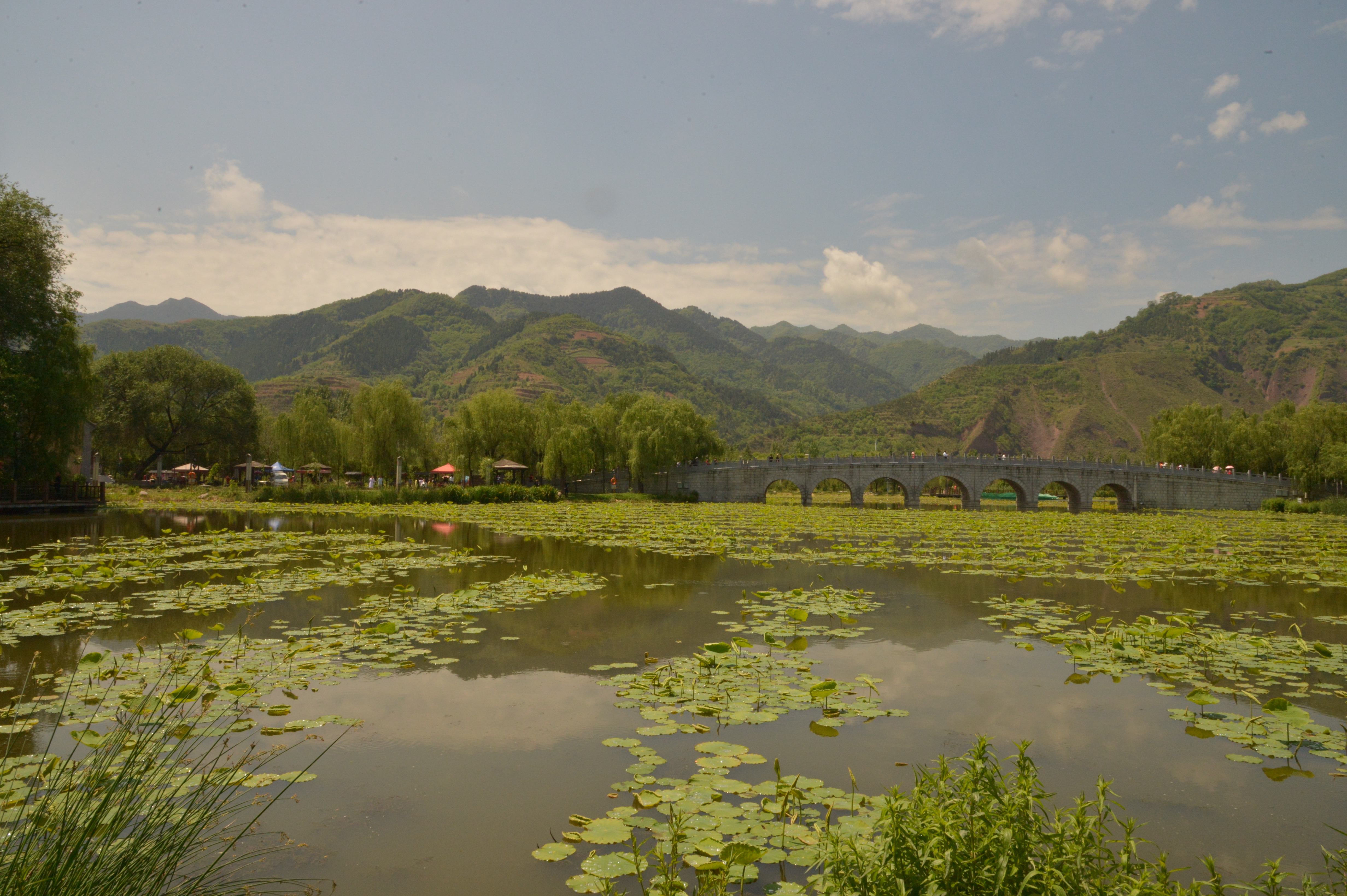 棣花贾平凹,棣花驿