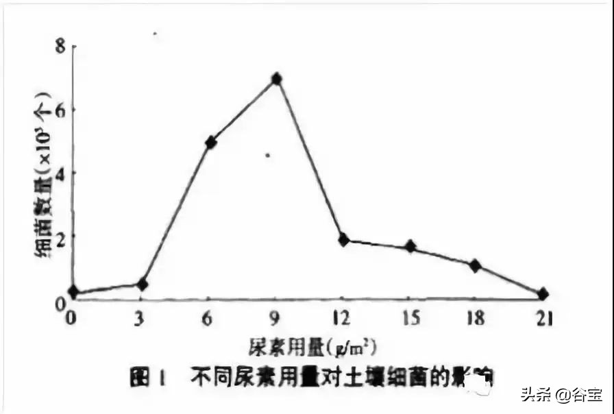 化肥为什么被称为“土地*片鸦**”?农民都好好看看吧