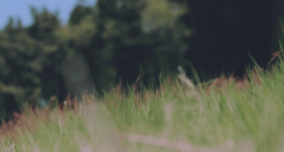 万能芦荟胶真的有用吗,万能的完美芦荟胶