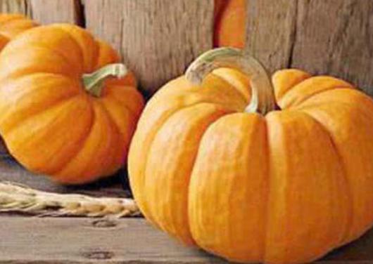 除了猫粮可以给猫吃什么,除了猫粮还有什么可以给猫加营养