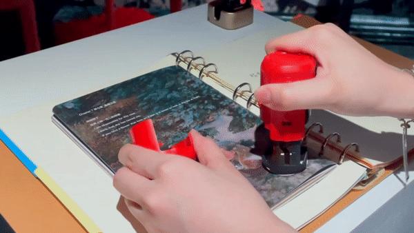 深圳周末打卡地点排行榜,深圳秋季打卡攻略