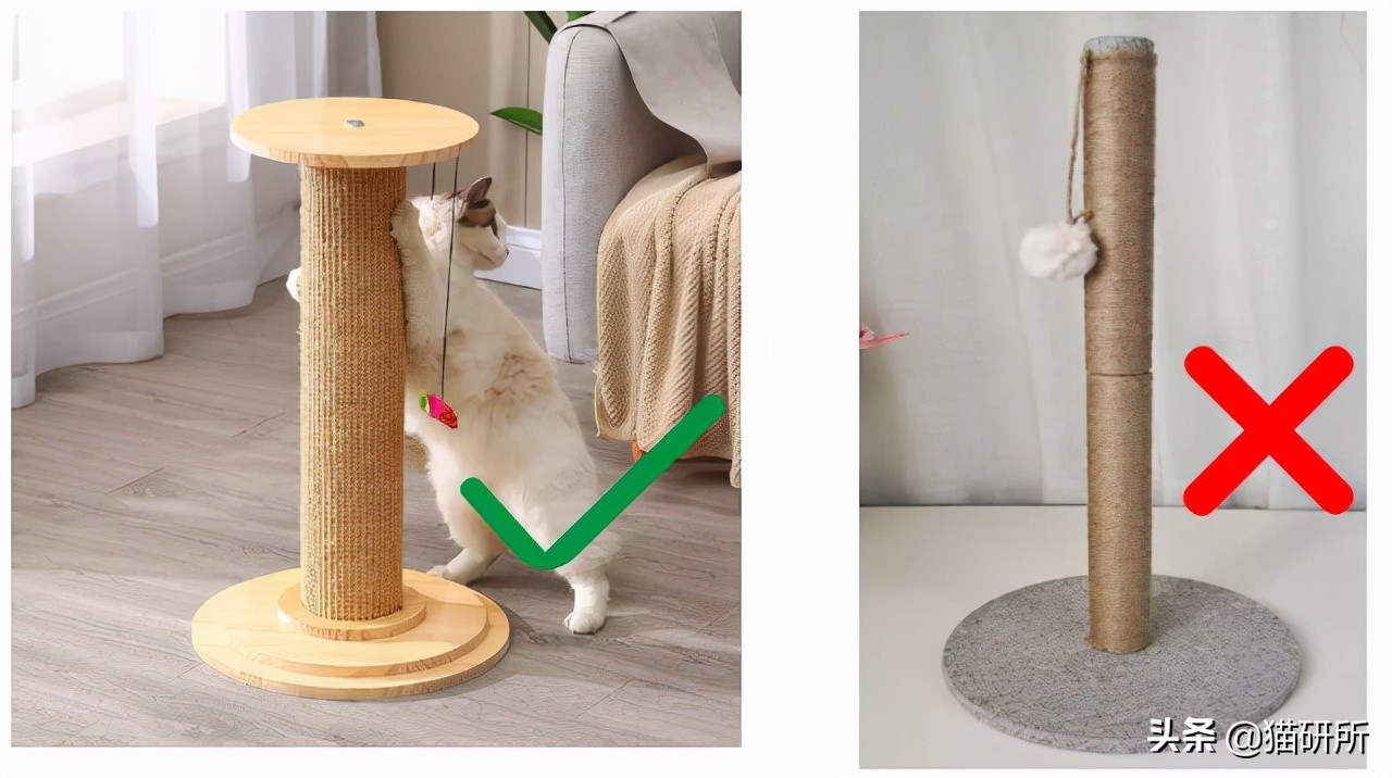 怎么惩罚猫咪挠沙发,猫咪不会挠坏的沙发