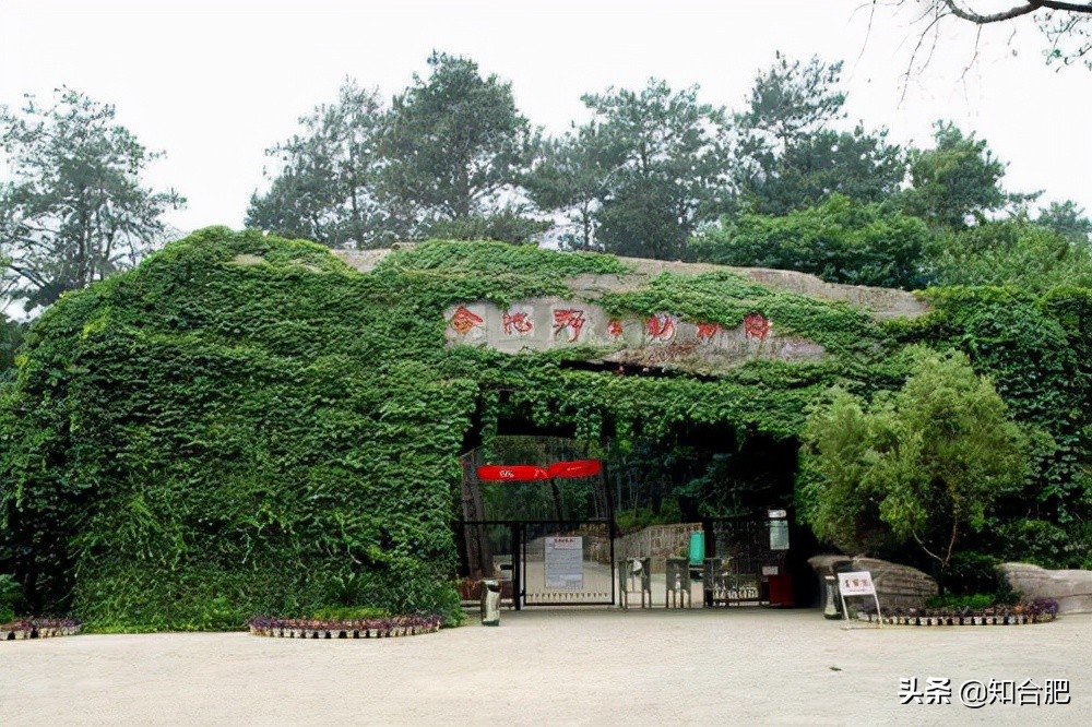 合肥国庆假期去哪玩三日游,国庆安徽三日游