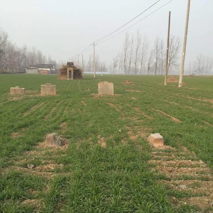 农村遗迹,农村文物遗迹大全