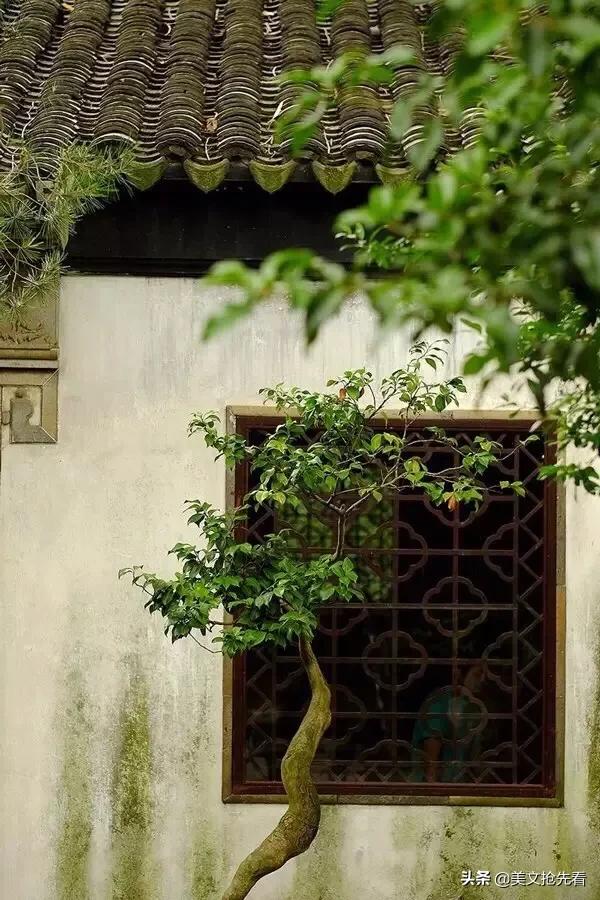 一切都看淡一切都随缘,随缘看淡释然