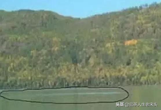 最新世界十大“怪”,最后一个太绝了!