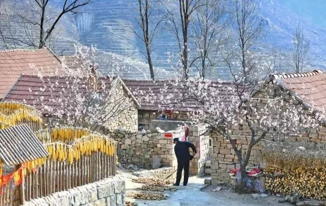 山东民宿景观设计推荐哪家,山东室内民宿图片大全