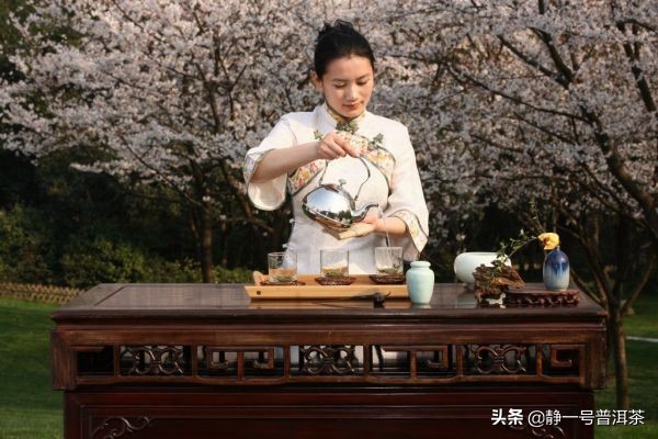 茶文化与茶艺表演男生多吗,茶旅茶艺表演