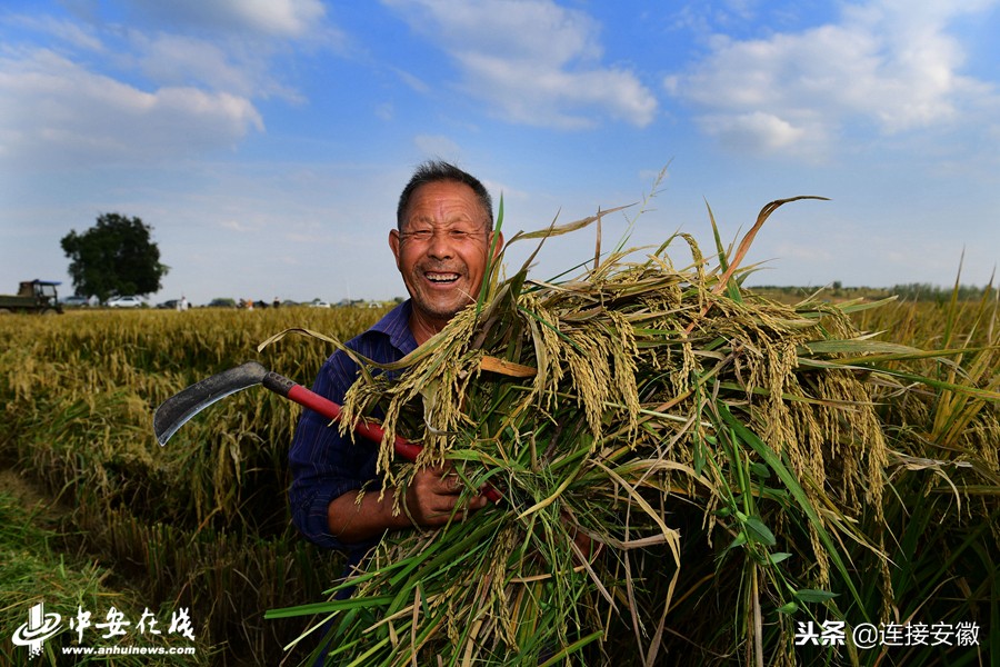 2018,安徽印象「徽镜映像工作室一年图片精选」