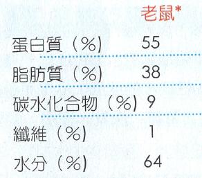 辟谣别再相信猫咪养不熟,辟谣猫咪并非黑夜都能看得清