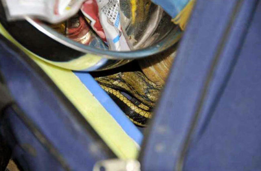 钓鱼夜钓需要什么技巧,夜钓小技巧和注意事项