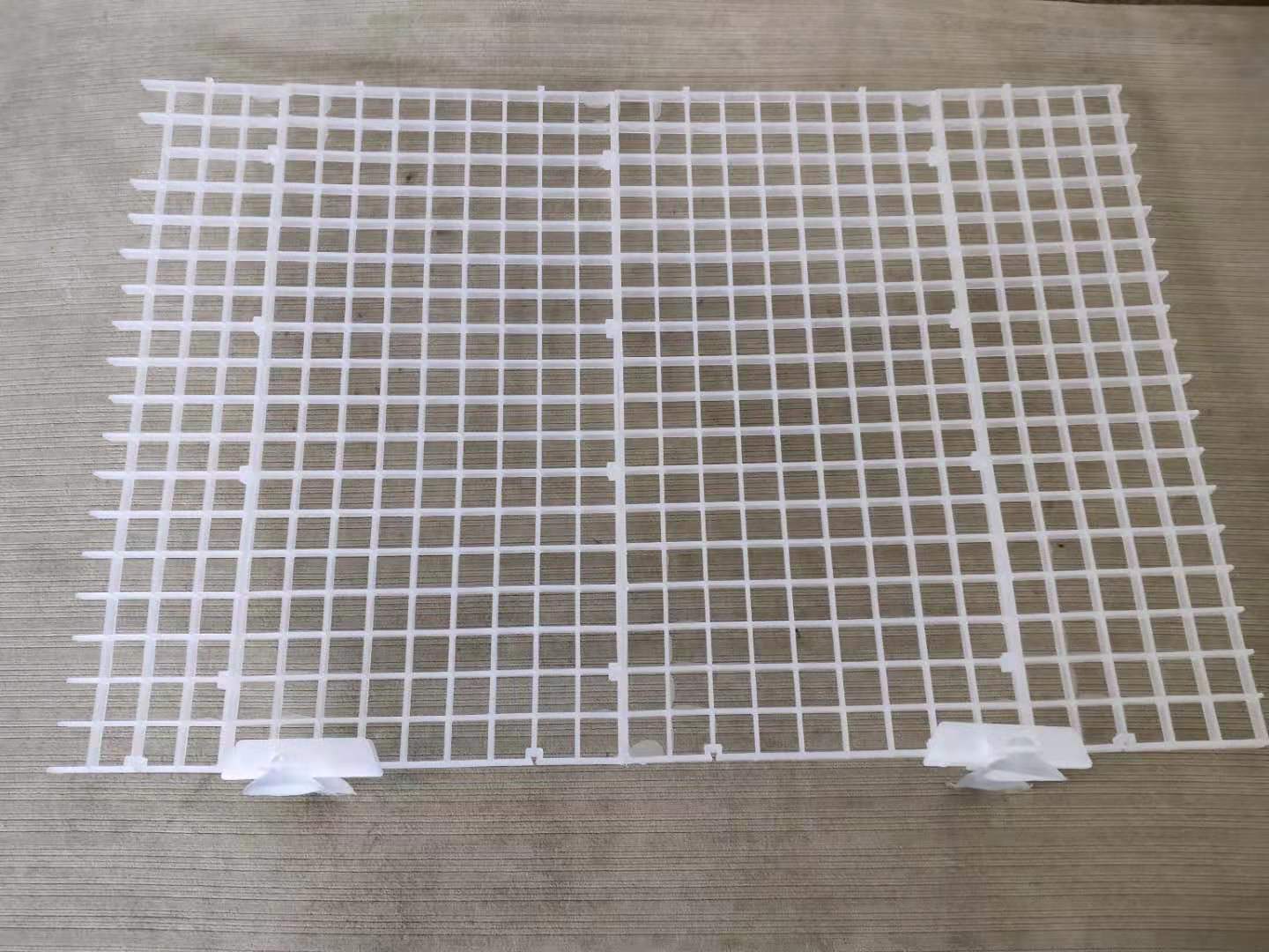 小鱼缸可以养小型观赏鱼吗,鱼缸耐活好养的小型观赏鱼