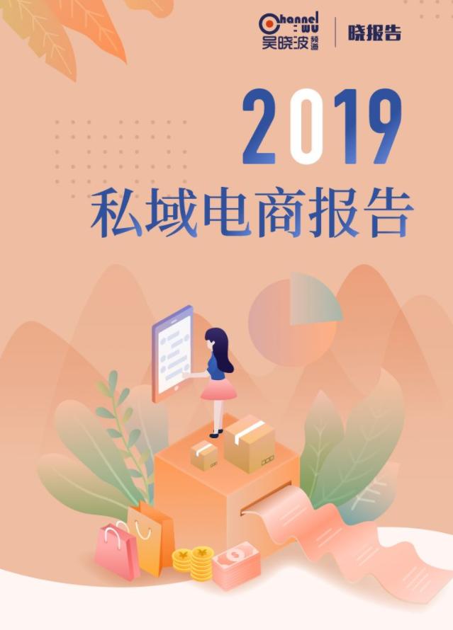 私域电商现状及未来趋势,谁掌握了网红谁就掌握未来