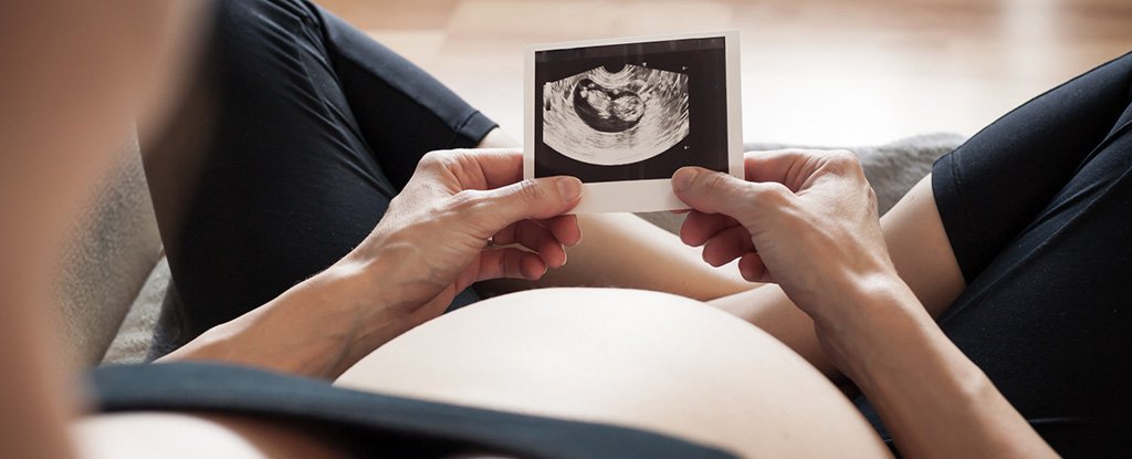 研究人员刚刚*翻推**了人类对怀孕最大的误解之一