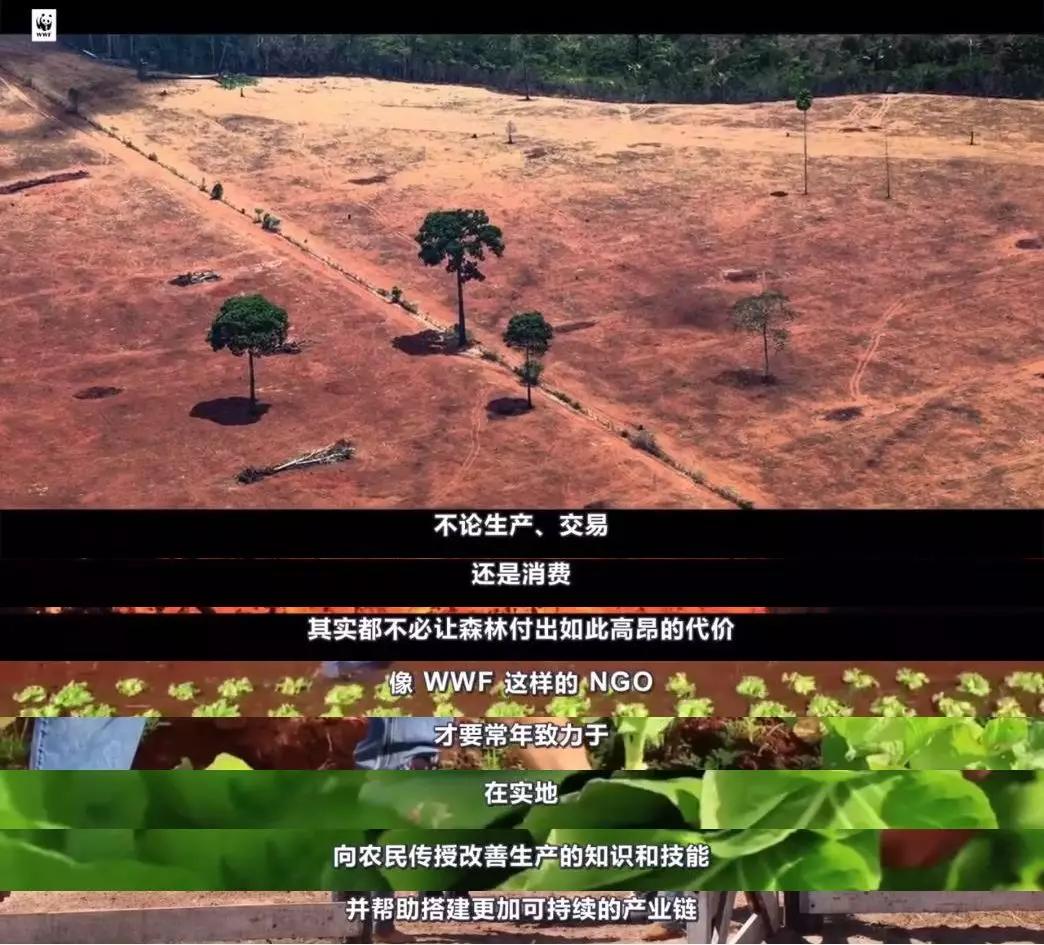 中国人吃肉破坏环境,中国人吃肉对巴西有影响吗