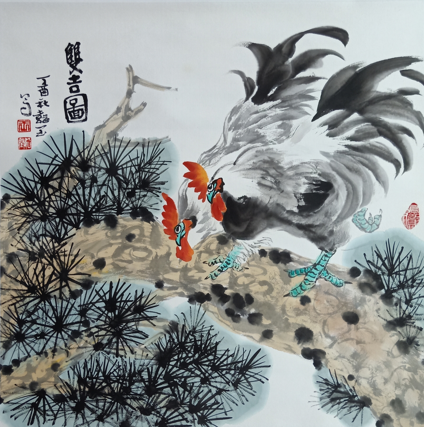 查看名家画雉鸡作品欣赏,王韬画鸡图片大全