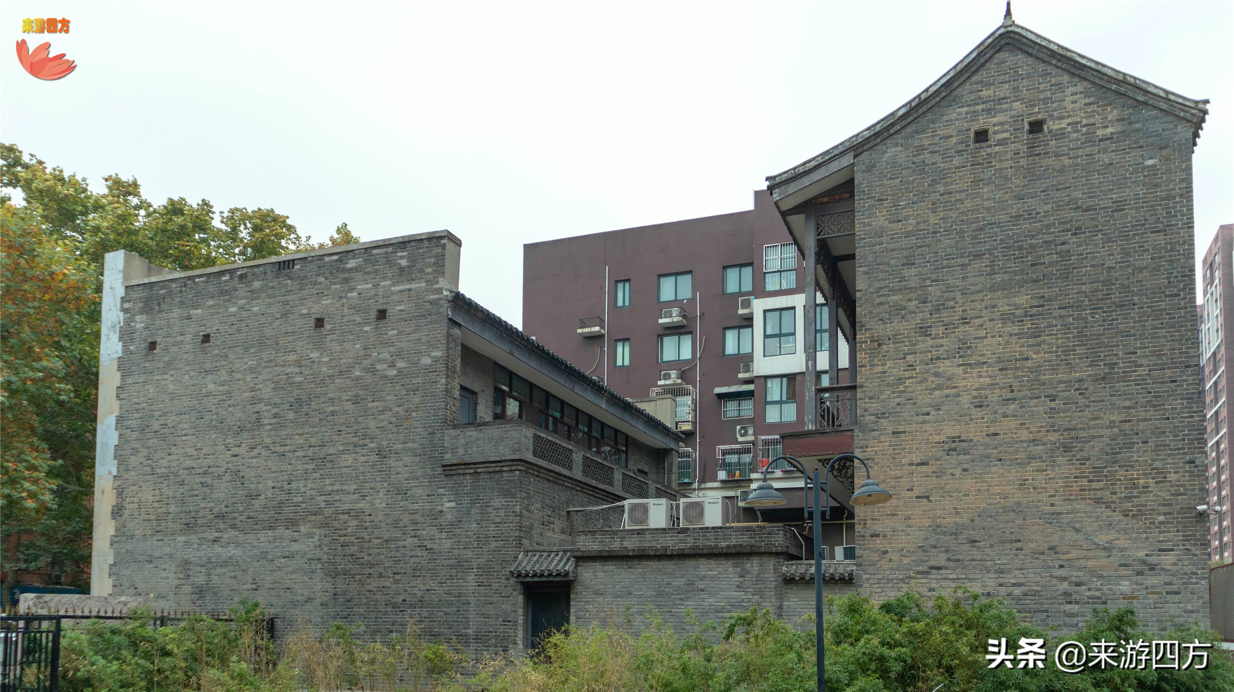 济南老商埠中山公园,济南秋风扫落叶