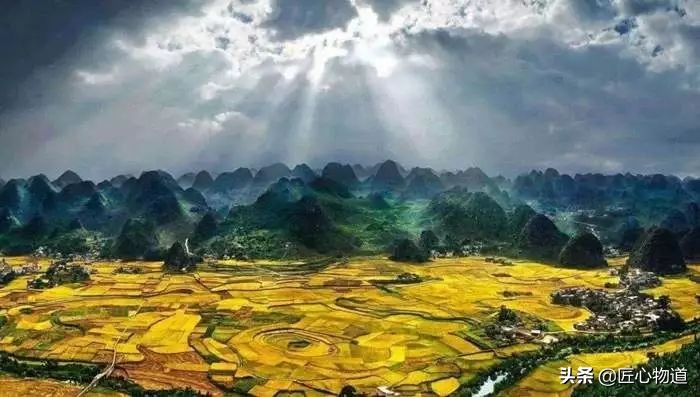 莫言故乡高粱红,莫言谈生存