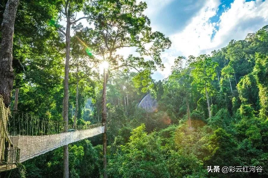 中国云南哪里好看,云南的云彩为什么好看