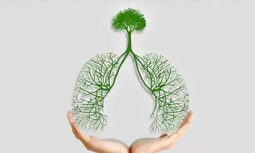 一文读懂波尔多液,一文读懂抗生素