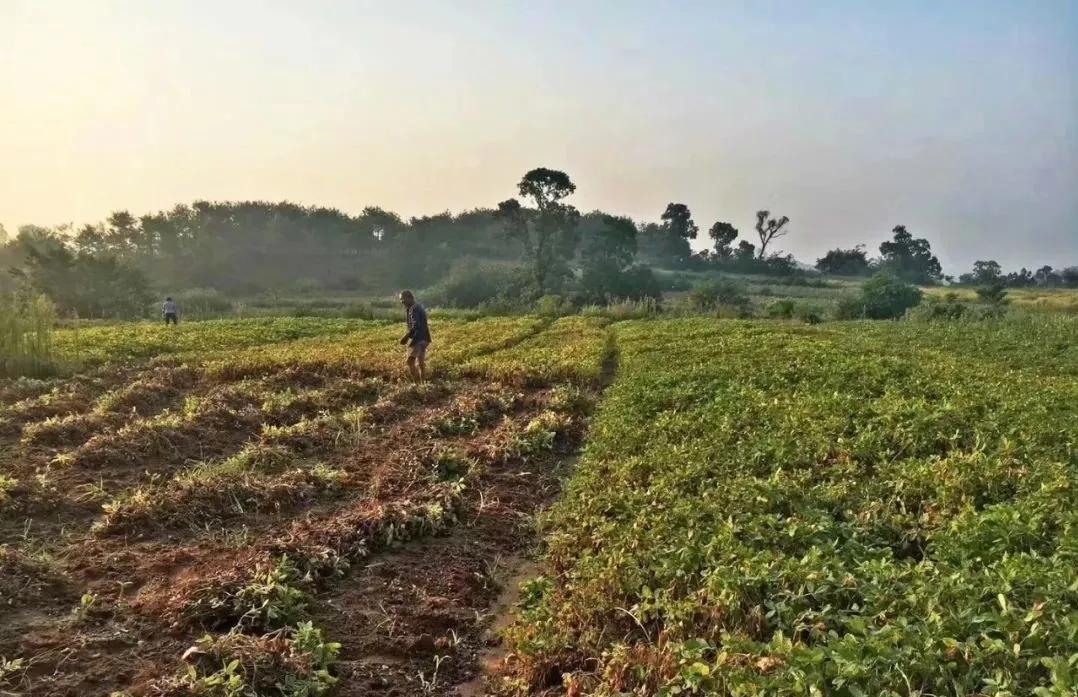 紧急提醒这些人务必第一时间就诊,紧急通知全员归队
