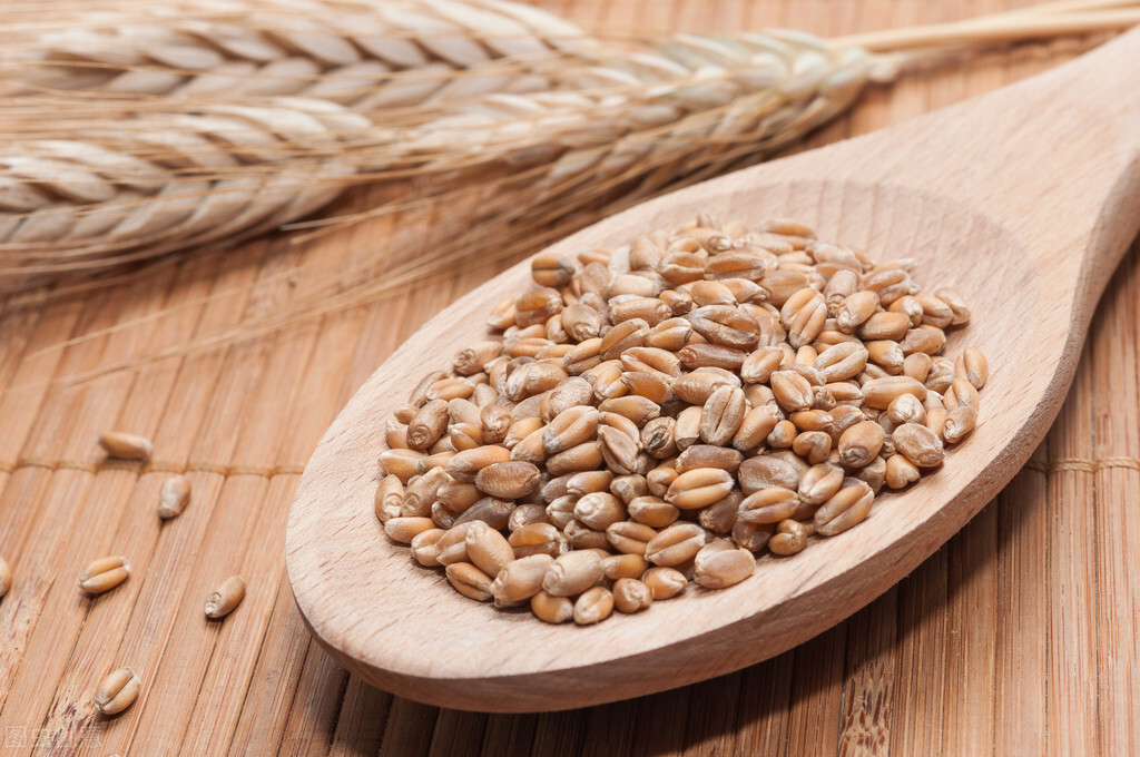 鍏ㄩ害闈㈠寘鍑忚偉缈昏溅,鍋氬叏楹﹂潰鍖呯炕杞︾殑鍘熷洜