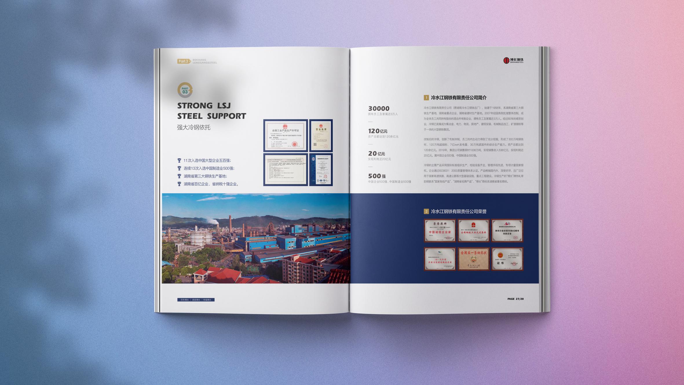 常德博长钢铁贸易有限公司,衡阳博长钢铁贸易有限公司技改