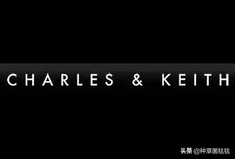 穷就不要买奢侈品,低调款大牌包包有哪些牌子