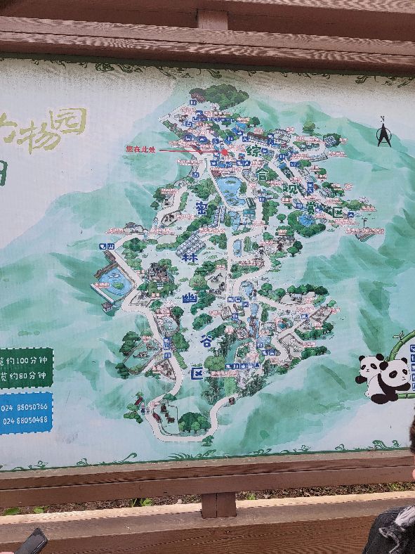 快乐动物园探险,愉快的旅行沈阳森林动物园一日游