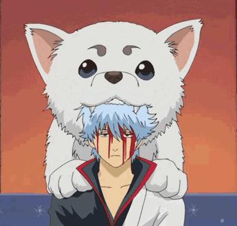 十大名猫动漫,动漫排行榜前十名京剧猫