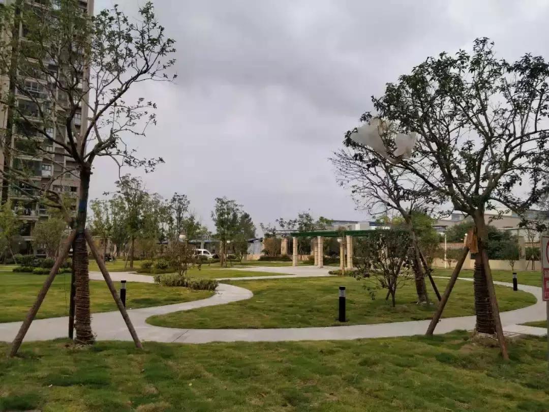 沪苏气质丨区域10月工程质量前五强匠心风采