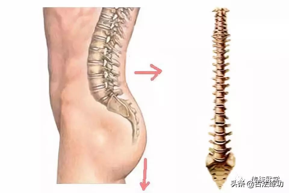 解密筋饼制作手法,解密筋膜激活骗局