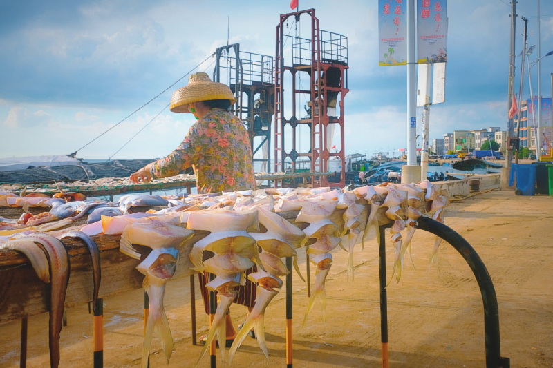 广东湛江景点及美食攻略,广东游记湛江市最美味的海鲜