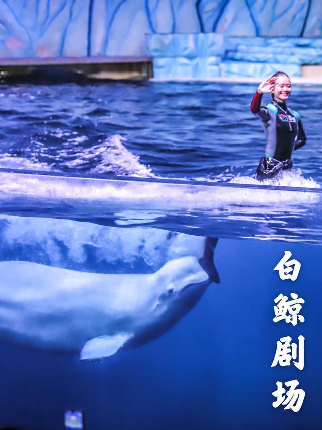 来珠海旅游必打卡的景点,春节珠海亲子游玩地方推荐