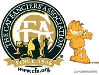 猫怎么注册血统,猫咪基础知识