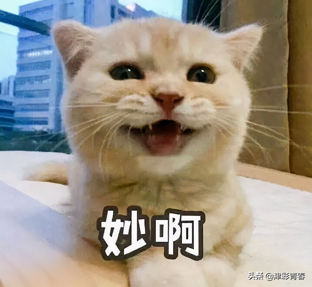 微信最近又更新了么,微信悄悄更新