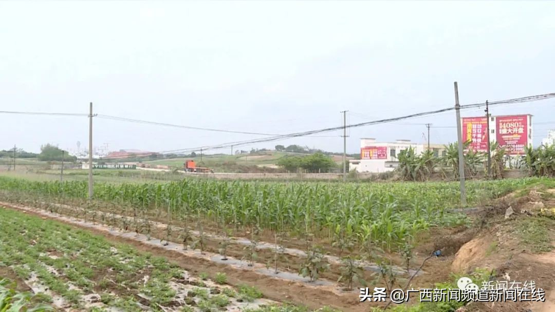 南宁一4岁女童上幼儿园疑似被猥亵，*裤内**上曾有血迹