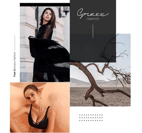 蝴蝶堂｜多彩多姿：沙漠之花，诉说沙漠的奇妙意境，优雅且灵动