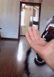 搞笑动图gif手机如何制作,搞笑动图gif图片