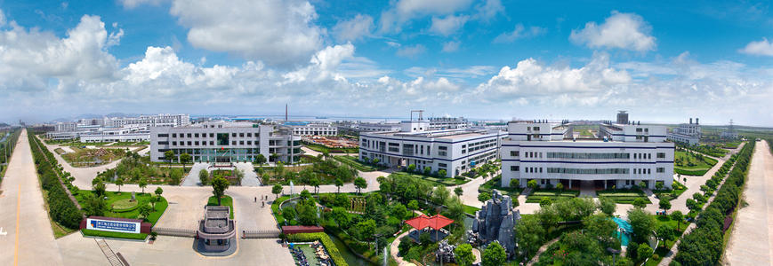 6年集聚44个领跑型项目医疗器械企业为何青睐这个山区县?