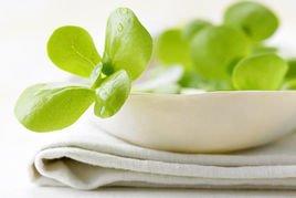 张歆艺半个月瘦20斤吃的什么东西,张歆艺20天瘦15斤的方法