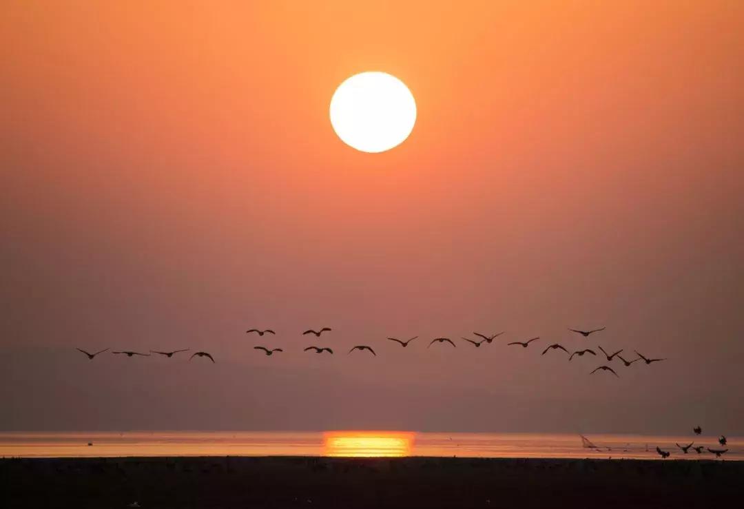 鄱阳湖最新,鄱阳湖为什么叫善变的湖