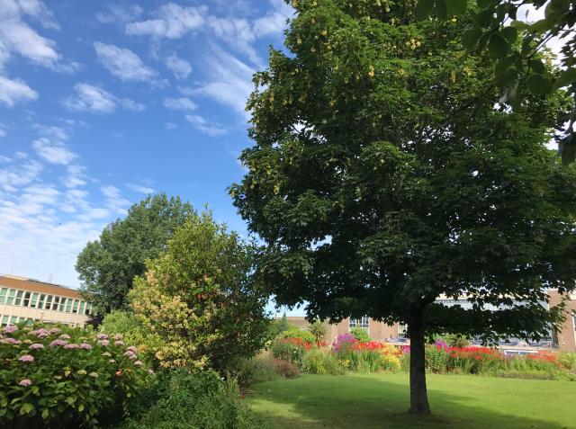 伦敦城市大学中国留学生申请越来越多，去伦敦城市大学怎么样？