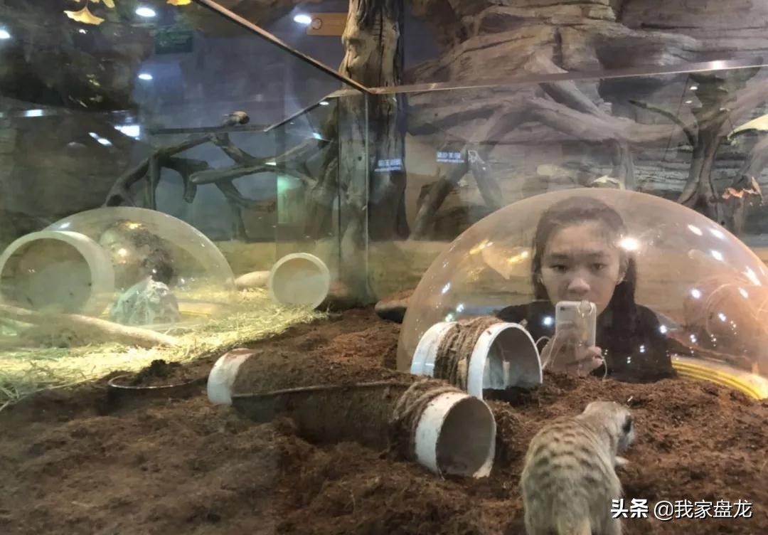 嗨玩一天不重样,嗨玩48小时活动