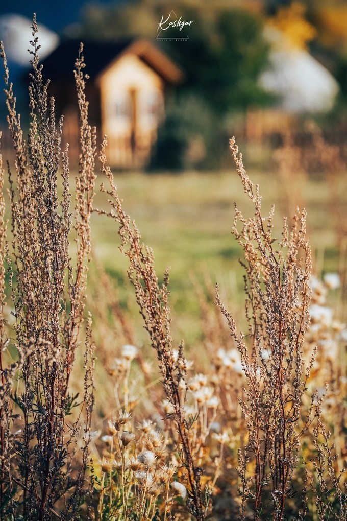 大美*疆新**，一个快递不包邮的地方，藏着不一样的异域风情